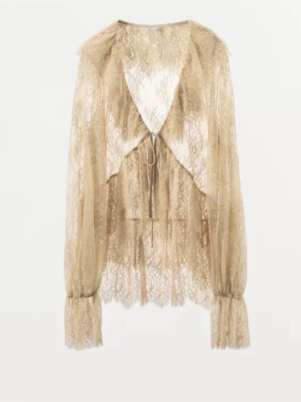 NWT Zara Limited Edition Lace Ruffle {$99.00}